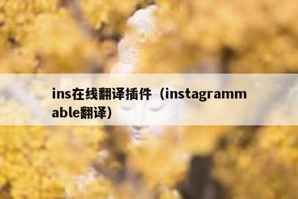 ins在线翻译插件（instagrammable翻译） 第1张