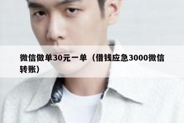 微信做单30元一单（借钱应急3000微信转账） 第1张