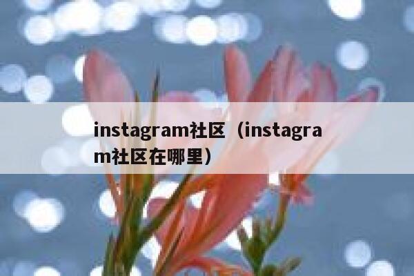 instagram社区（instagram社区在哪里） 第1张