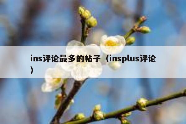 ins评论最多的帖子（insplus评论） 第1张