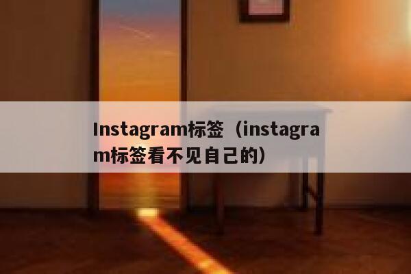 Instagram标签（instagram标签看不见自己的） 第1张
