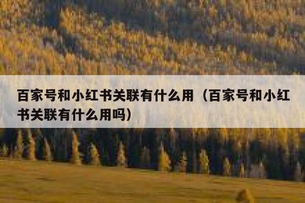 百家号和小红书关联有什么用（百家号和小红书关联有什么用吗） 第1张