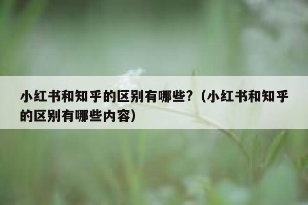 小红书和知乎的区别有哪些?（小红书和知乎的区别有哪些内容） 第1张