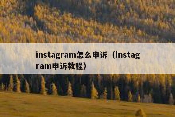 instagram怎么申诉（instagram申诉教程） 第1张