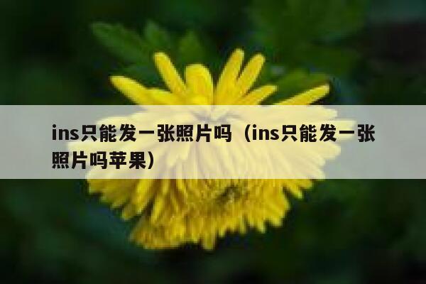 ins只能发一张照片吗（ins只能发一张照片吗苹果） 第1张
