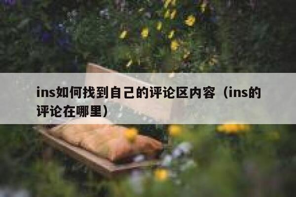 ins如何找到自己的评论区内容（ins的评论在哪里） 第1张