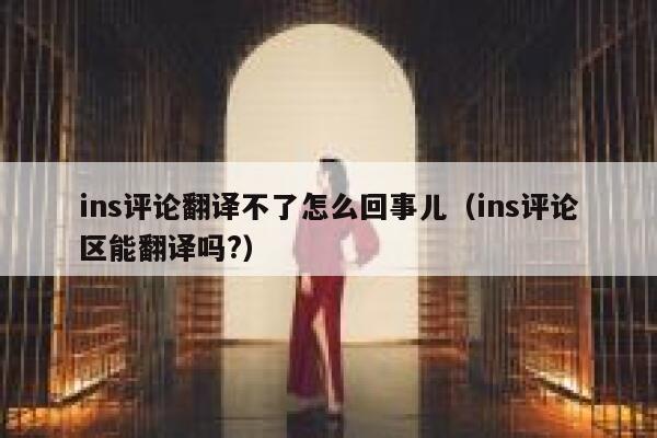 ins评论翻译不了怎么回事儿（ins评论区能翻译吗?） 第1张