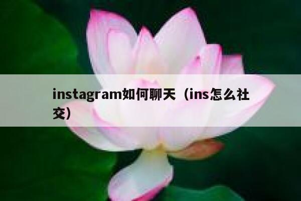 instagram如何聊天（ins怎么社交） 第1张