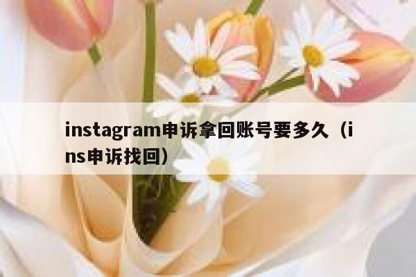 instagram申诉拿回账号要多久（ins申诉找回） 第1张