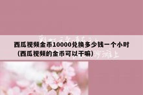 西瓜视频金币10000兑换多少钱一个小时（西瓜视频的金币可以干嘛） 第1张