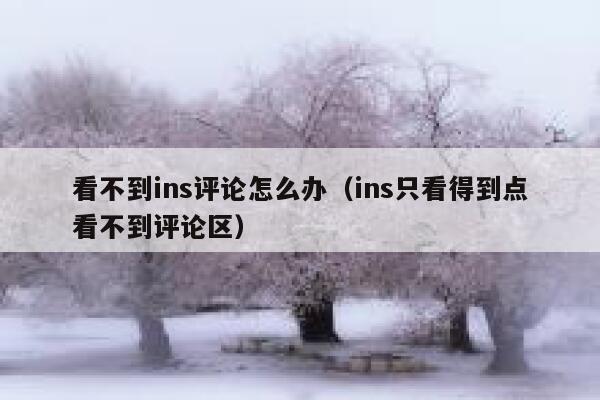看不到ins评论怎么办（ins只看得到点看不到评论区） 第1张