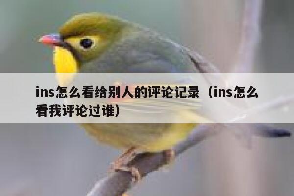 ins怎么看给别人的评论记录（ins怎么看我评论过谁） 第1张