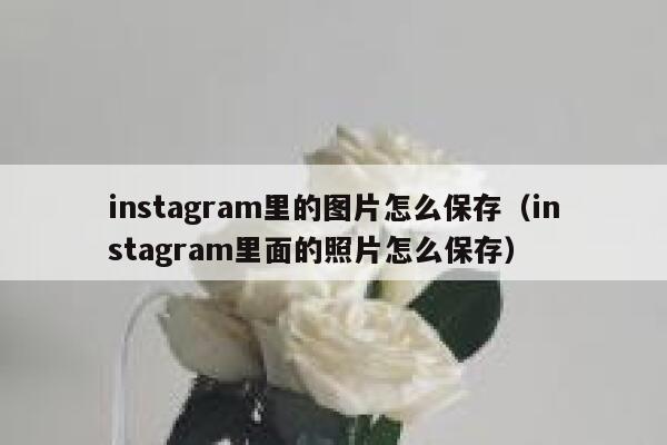 instagram里的图片怎么保存（instagram里面的照片怎么保存） 第1张