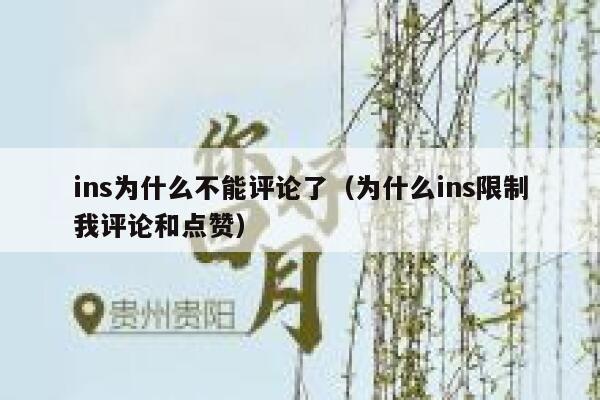ins为什么不能评论了（为什么ins限制我评论和点赞） 第1张
