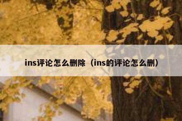 ins评论怎么删除（ins的评论怎么删） 第1张