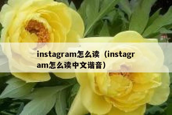 instagram怎么读（instagram怎么读中文谐音） 第1张