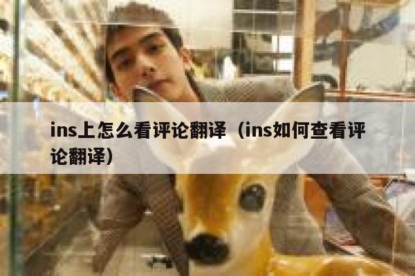 ins上怎么看评论翻译（ins如何查看评论翻译） 第1张
