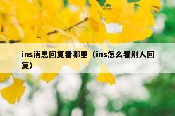 ins消息回复看哪里（ins怎么看别人回复） 第1张