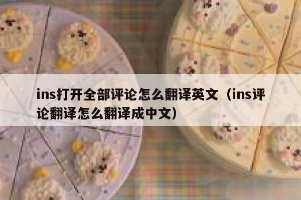 ins打开全部评论怎么翻译英文（ins评论翻译怎么翻译成中文） 第1张