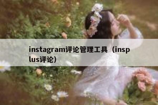 instagram评论管理工具（insplus评论） 第1张