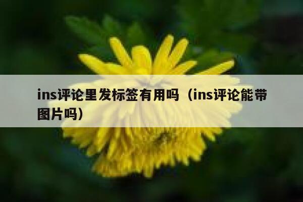 ins评论里发标签有用吗(ins评论能带图片吗) 第1张 ins评论里发标签有用吗(ins评论能带图片吗) 第1张