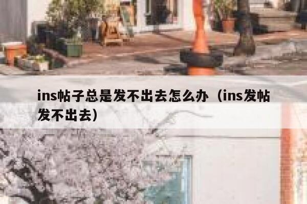 ins帖子总是发不出去怎么办（ins发帖发不出去） 第1张