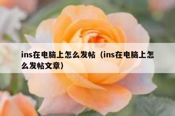 ins在电脑上怎么发帖（ins在电脑上怎么发帖文章） 第1张