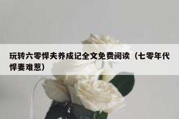 玩转六零悍夫养成记全文免费阅读（七零年代悍妻难惹） 第1张