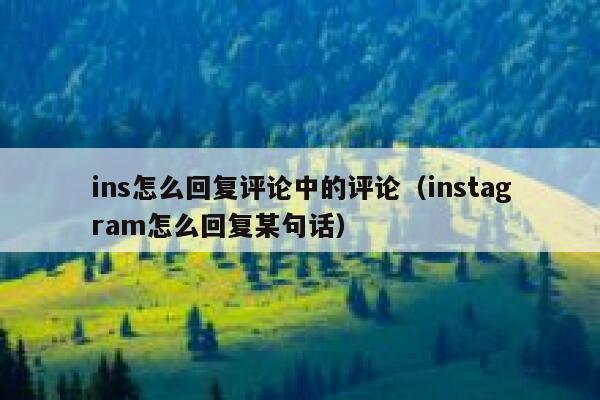 ins怎么回复评论中的评论（instagram怎么回复某句话） 第1张