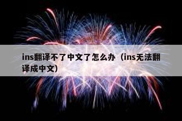 ins翻译不了中文了怎么办（ins无法翻译成中文） 第1张
