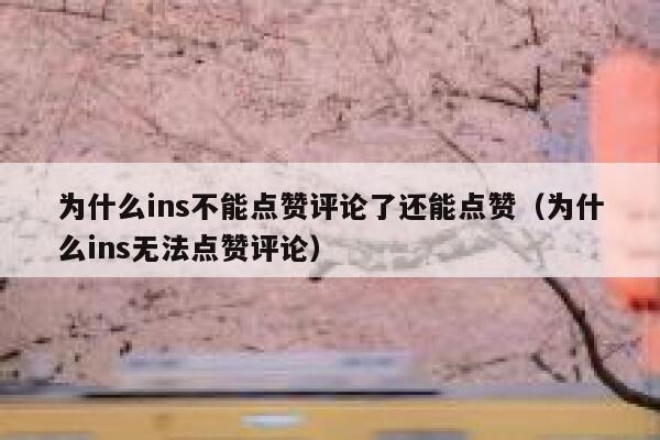 为什么ins不能点赞评论了还能点赞（为什么ins无法点赞评论） 第1张