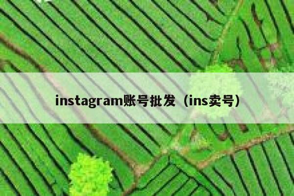 instagram账号批发（ins卖号） 第1张