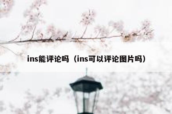 ins能评论吗（ins可以评论图片吗） 第1张
