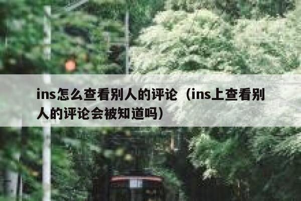ins怎么查看别人的评论（ins上查看别人的评论会被知道吗） 第1张