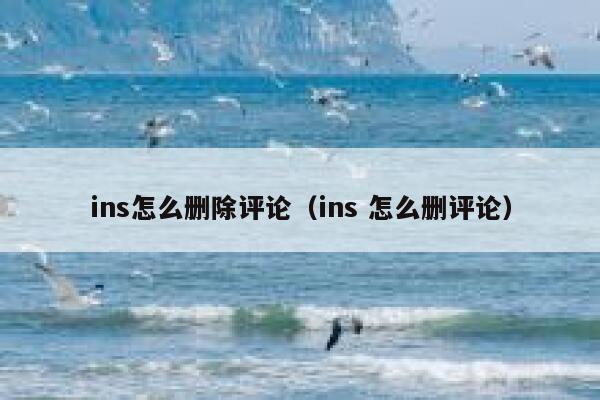 ins怎么删除评论（ins 怎么删评论） 第1张