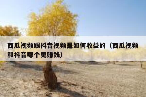 西瓜视频跟抖音视频是如何收益的（西瓜视频和抖音哪个更赚钱） 第1张