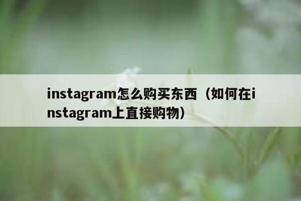 instagram怎么购买东西（如何在instagram上直接购物） 第1张