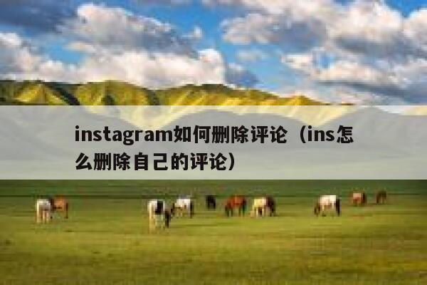 instagram如何删除评论（ins怎么删除自己的评论） 第1张