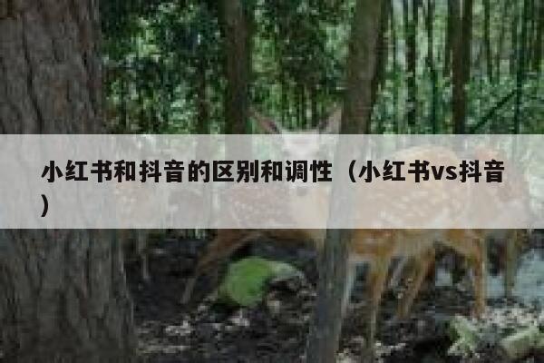 小红书和抖音的区别和调性（小红书vs抖音） 第1张