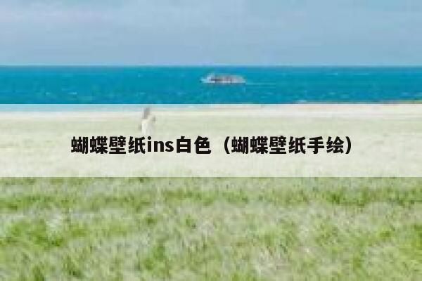 蝴蝶壁纸ins白色（蝴蝶壁纸手绘） 第1张