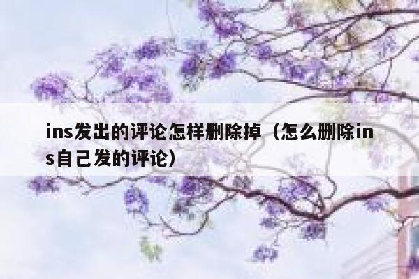 ins发出的评论怎样删除掉（怎么删除ins自己发的评论） 第1张