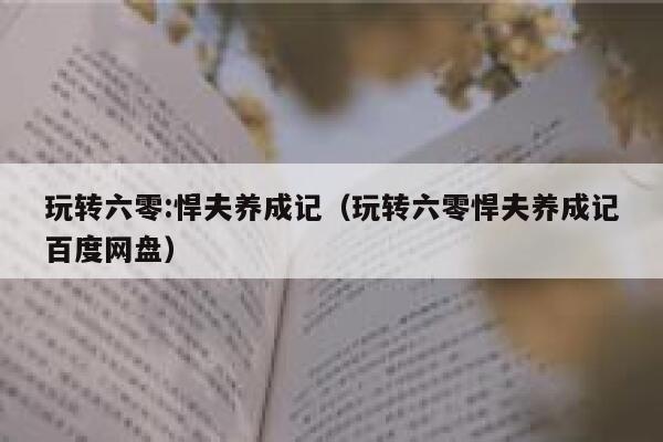 玩转六零:悍夫养成记（玩转六零悍夫养成记百度网盘） 第1张