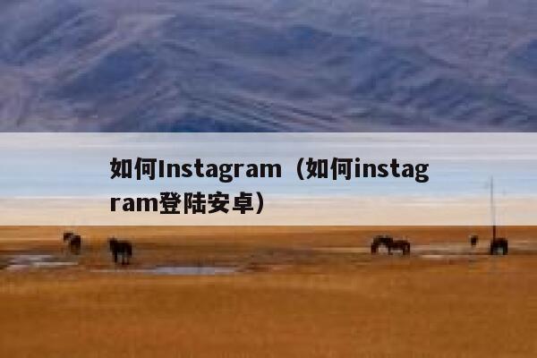 如何Instagram（如何instagram登陆安卓） 第1张