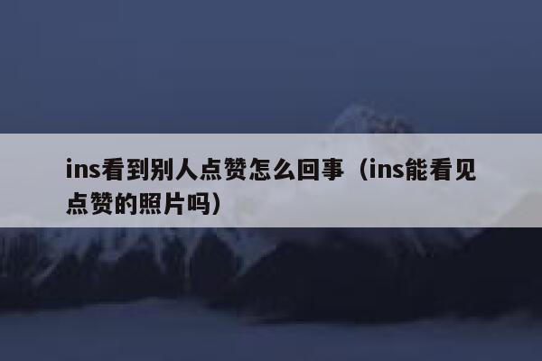 ins看到别人点赞怎么回事（ins能看见点赞的照片吗） 第1张
