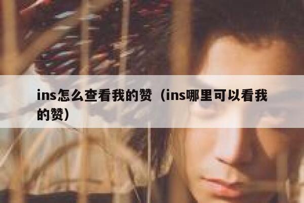 ins怎么查看我的赞（ins哪里可以看我的赞） 第1张
