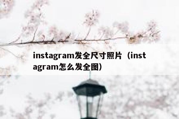 instagram发全尺寸照片（instagram怎么发全图） 第1张
