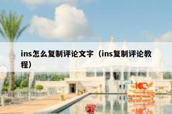 ins怎么复制评论文字（ins复制评论教程） 第1张