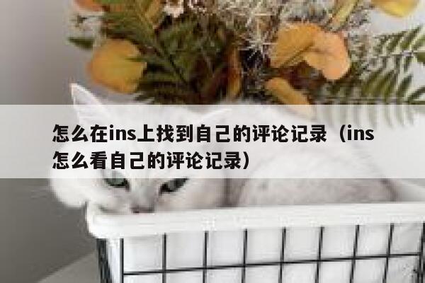 怎么在ins上找到自己的评论记录（ins怎么看自己的评论记录） 第1张