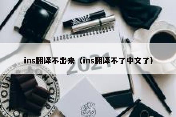 ins翻译不出来（ins翻译不了中文了） 第1张
