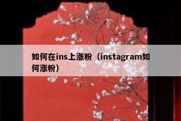 如何在ins上涨粉（instagram如何涨粉） 第1张